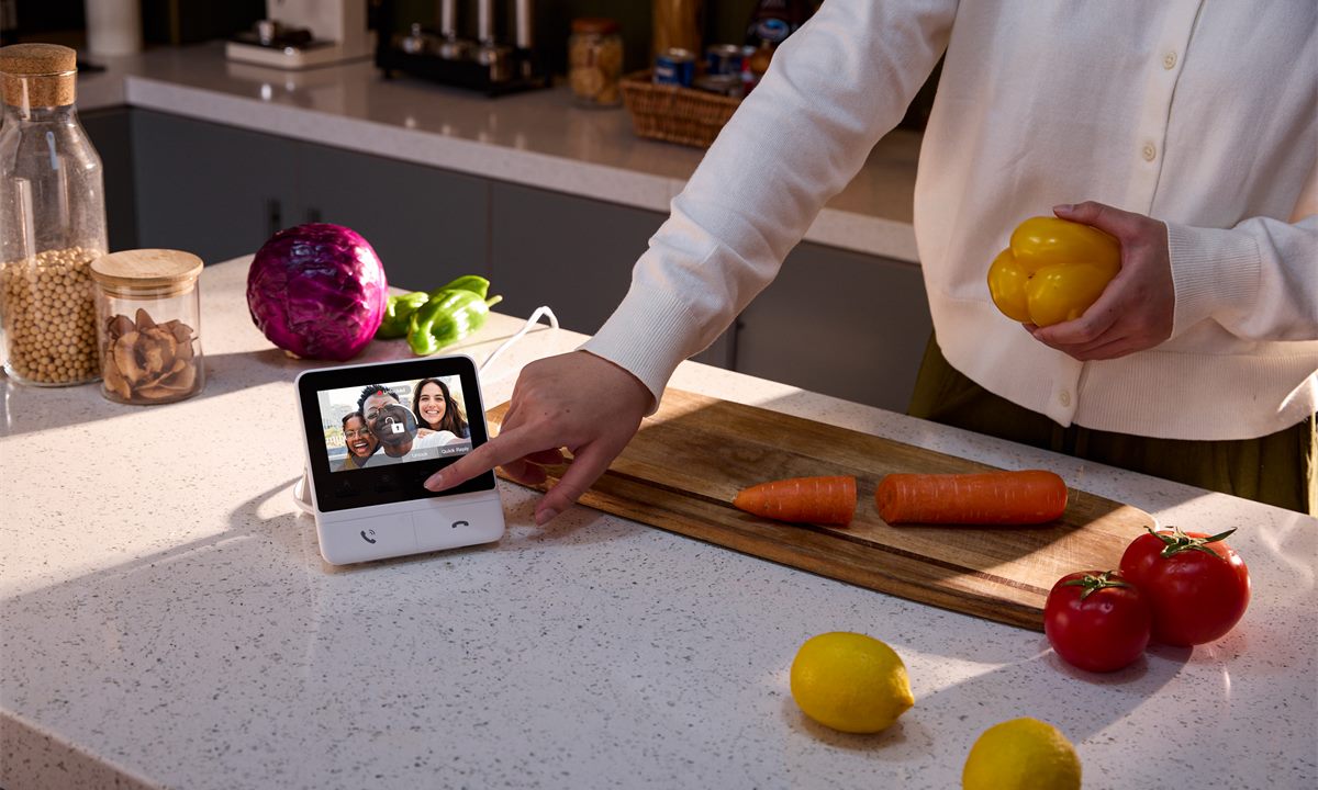 Indoor monitor showing a visitor while someone is at home